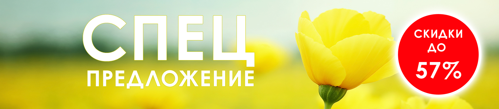 СПЕЦПРЕДЛОЖЕНИЕ СПЕЦПРЕДЛОЖЕНИЕ